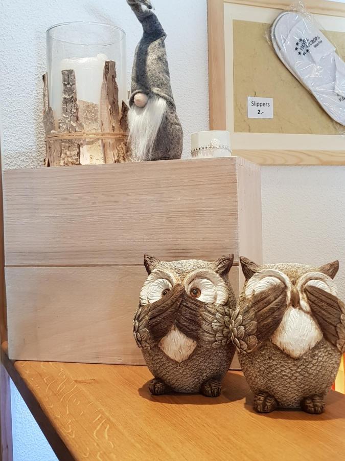 Hotel Europa Guest House Saas Fee Εξωτερικό φωτογραφία